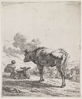 KG 04762
          <br/>
          Herder, os en kalf
          <br/>
          <em>Dujardin, Karel (1622-1678)</em>